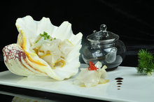 ൺ L01054 The Fisherman Conch 98Ԫ