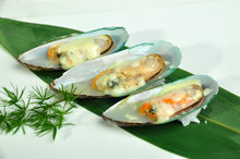 ൺ R10603֥ʿڱteppanyaki mussel